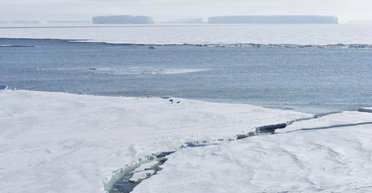 Морський лід в Антарктиді раптово обвалився після десятиліть зростання: що спричинило "обвал" (фото)