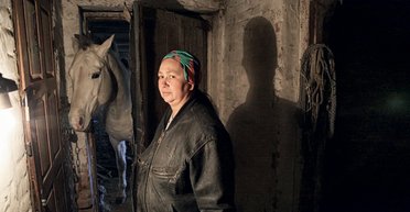 Любовь и морковь. Как люди и кони приручают друг друга