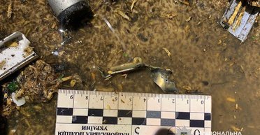 У багатоповерхівці Кривого Рогу пролунав вибух: є жертва, подробиці (фото)