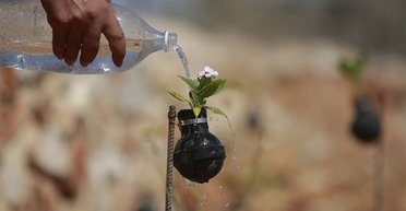 Война и мир в одном флаконе. Как украинцы восприняли введение военного положения