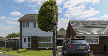 Прославилися на весь світ: подружжя розпиляло улюблене дерево сусіда навпіл через сварку (фото)