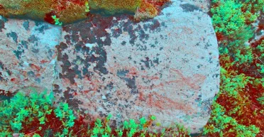 Это место до сих пор никто не находил: ученые из Норвегии обнаружили древние наскальные рисунки