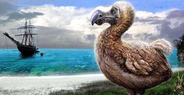 Исчезнувшие. Животные, которые больше не населяют Землю