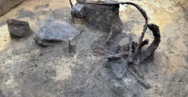 Раскопали артефакты железного века: археологи нашли впечатляющую коллекцию древнего оружия (фото)