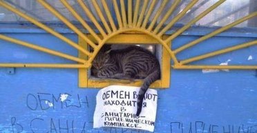 Украина и МВФ. Все может закончиться резкой девальвацией