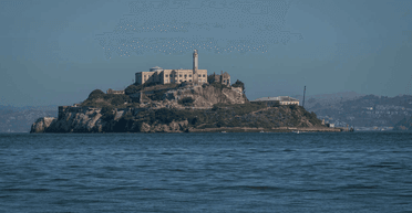 Таинственное появление у Алькатраса: туристов поставил в тупик загадочный гость (видео)