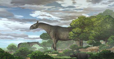 Как четыре африканских слона. В Китае обнаружили новый вид гигантских носорогов