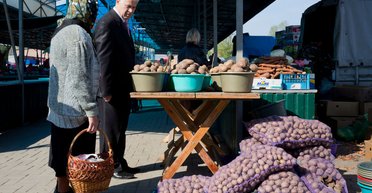 Картофель будет дорожать: украинцам объяснили, почему не стоит ждать дешевого овоща