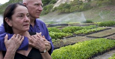 Подружжя посадило понад 2 млн дерев, намагаючись "воскресити субтропічний рай" (відео)