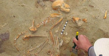 Археологи обнаружили захоронение берберийской обезьяны с военной амуницией (фото)