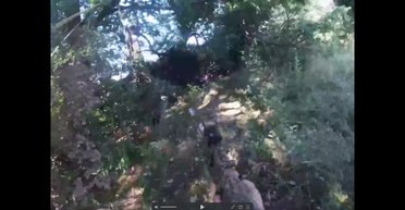 Россияне замучили и повесили собственных солдат: бойцы ВСУ показали видео