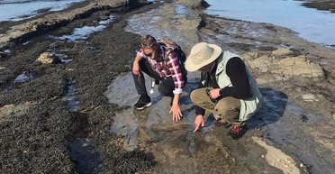 Виявлені сліди великих хижих динозаврів доводять, що вони жили біля Антарктиди (фото)