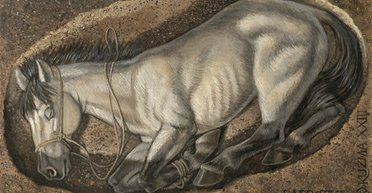 Завозили из христианских стран: откуда происходили лошади, принесенные в жертву викингами