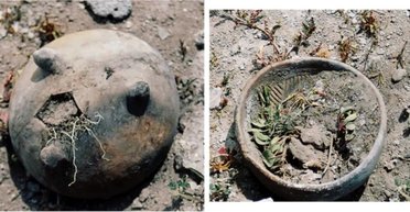 Скорпіон на 60 метрів: у Мексиці вчені виявили стародавню обсерваторію (фото)