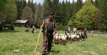 Запрещенные Карпаты: как очередное ограничение прав украинцев усиливает недовольство властями