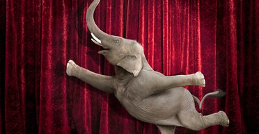 "Танцы слонов" перед Трампом: как разворачиваются переговоры Индии и США об отказе от российской нефти