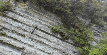 40-летняя загадка разгадана: мужчина узнал, что скрывали старые двери за его домом (фото)