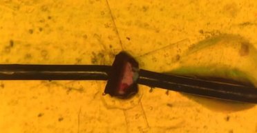 Электроэнергия из движения: инженеры создали новый генератор, который превзошел аналоги