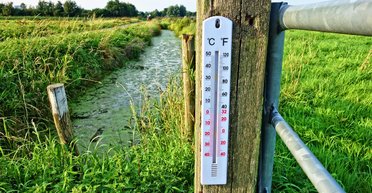 Літня спека повертається: сонце ще прогріє повітря в Україні до +37, — синоптики (карта)