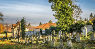 "Никому вы не нужны": двоечник разорвал сеть, убрав могилу первой учительницы