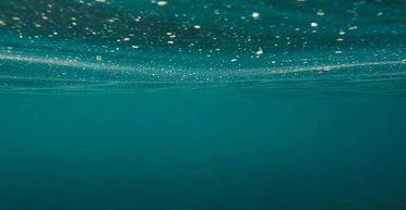 В экосистеме Арктики обнаружили большое количество микропластика, - ученые