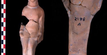 Неожиданные результаты: ученые узнали интересные подробности о египетских ремесленниках древности