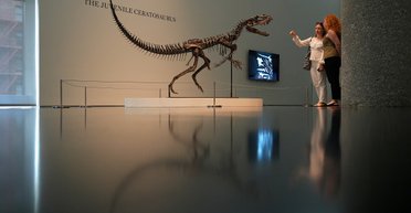 Жив 150 млн років тому: на аукціоні продали цілий скелет динозавра за астрономічну суму