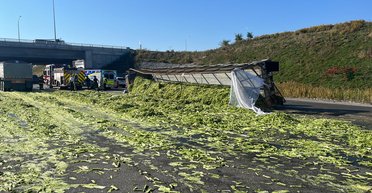 У Канаді перекинулася вантажівка зі стеблами селери: дорогу довелося перекрити (фото)
