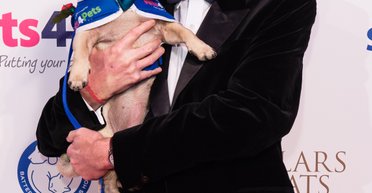 Телеведучий програми "Заради любові до собак" заповів своїм вихованцям величезну суму (фото)