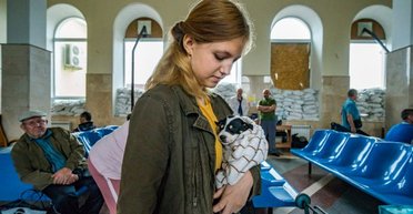 Виплати ВПО можуть скасувати: озвучено головну вимогу