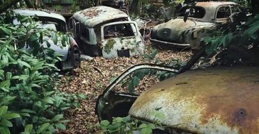 Раритеты на поляне: в лесу обнаружено огромное кладбище ретро-авто (видео)
