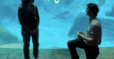 Хлопець зробив дівчині пропозицію в океанаріумі: важко повірити, що з ними сталося далі