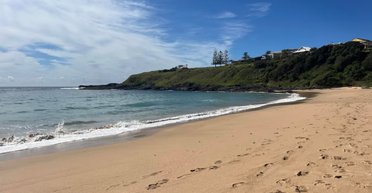 Люди кинулися збирати гроші: до пляжу прибило сумки з готівкою (фото)