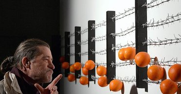 Апельсины бочками. Уместно ли "Цитрусовое королевство" в столице воюющей Украины