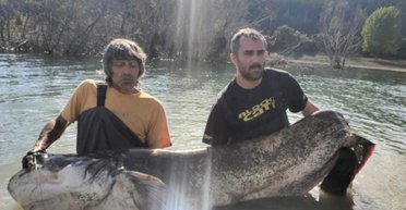 "Руки затряслись": чоловіки витягли з води рекордну 120-кілограмову рибу (фото)