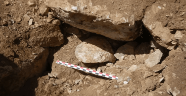 Выставили голову для запугивания: ученые нашли свидетельства жестокости древних римлян в Испании (фото)