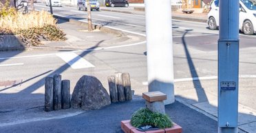 Одразу й не зрозумієш: який вигляд має найменший парк у світі (відео)