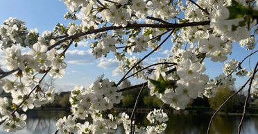 В Запорожье, Николаеве, Харькове, Чернигове — чуть больше 10 градусов: прогноз на 28 апреля