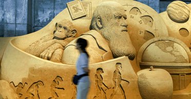 Дарвин навсегда. Почему теория эволюции и происхождение видов будоражат умы в XXI веке