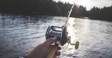 Вываливался из тачки: в Черкасской области поймали гигантского толстолоба (видео)