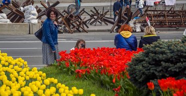 Половина украинцев потеряла 50-100% доходов из-за войны, — опрос Фокуса