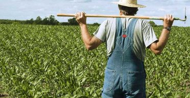 ООН безвозмездно выплатит украинцам до $25 тысяч: кто сможет получить