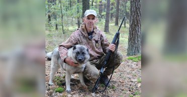 На Черниговщине разводят собак викингов: норвежские элькхунды возрождают древнюю охотничью традицию