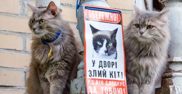 Когда привычный мир перевернулся. Как 2020-й научил видеть ценность и красоту того, что рядом