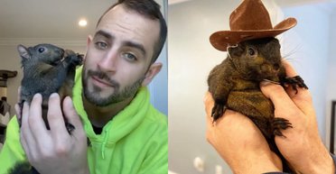 Вместе 7 лет: владелец умоляет вернуть ему домашнюю белку, которую забрали власти (фото)