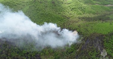 В РФ в районе золотодобывающего участка разбился вертолет с бизнесменами: подробности (фото)