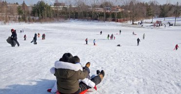 "Смешной" запрет: в Торонто городские власти запретили кататься на санях зимой