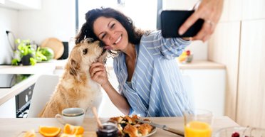 Ошейник-оберег, самоочищающийся лоток и роботы-уборщики. Топ-4 гаджета для ухода за питомцами