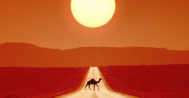 Экстремальные температуры связали с повышенным риском смерти: что станет причиной гибели