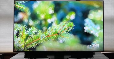 Забудьте об OLED: эксперт назвал преимущества более дешевых телевизоров Mini-LED (фото)
